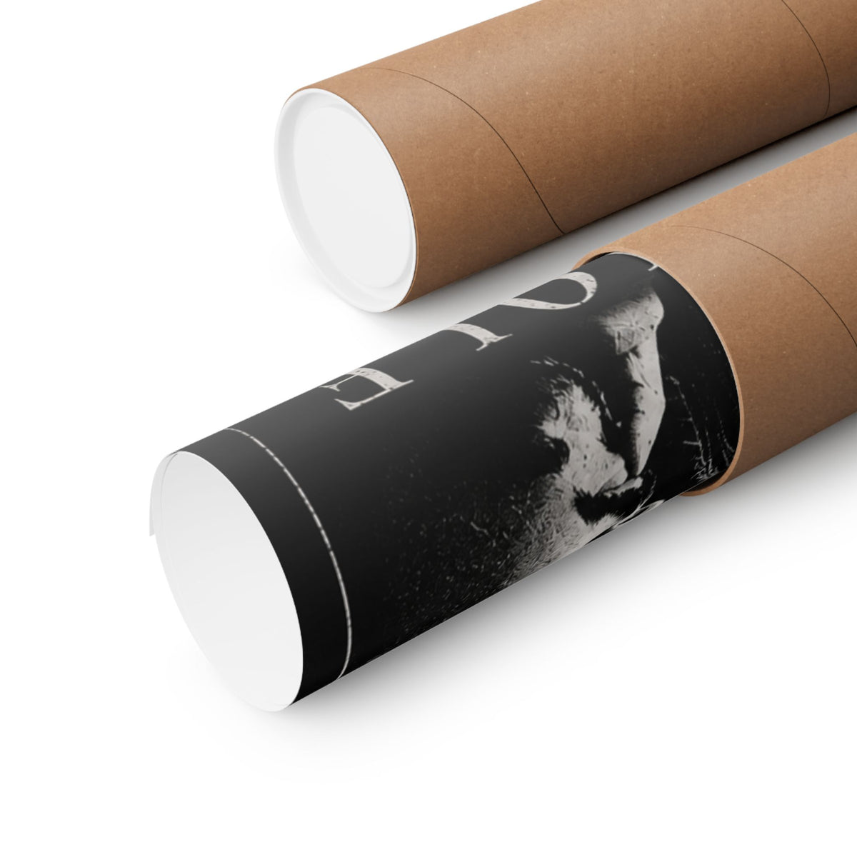 Matte Vertical Posters