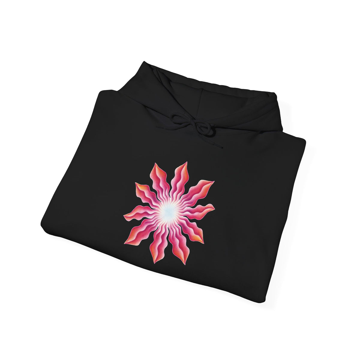 plate 195 hoodie - Black