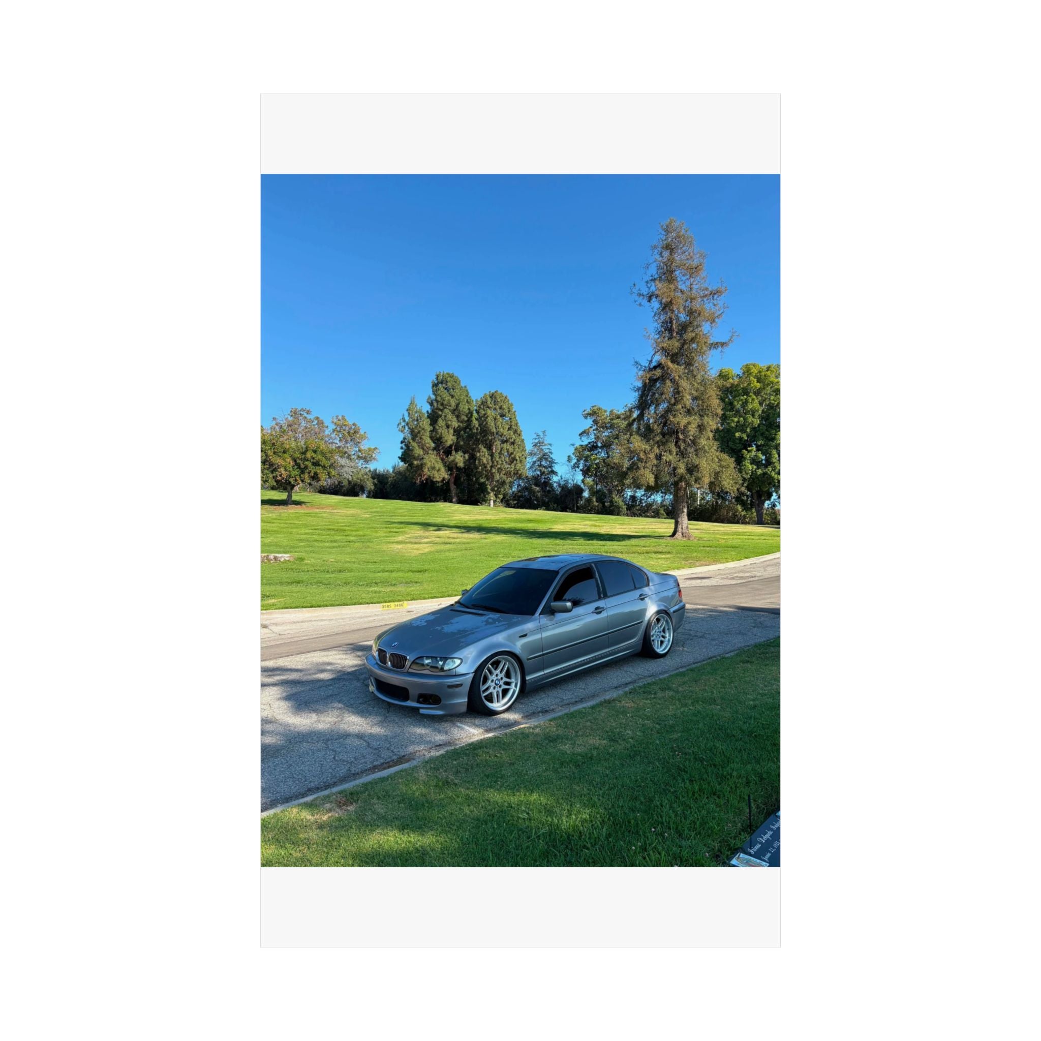 Matte Vertical Posters