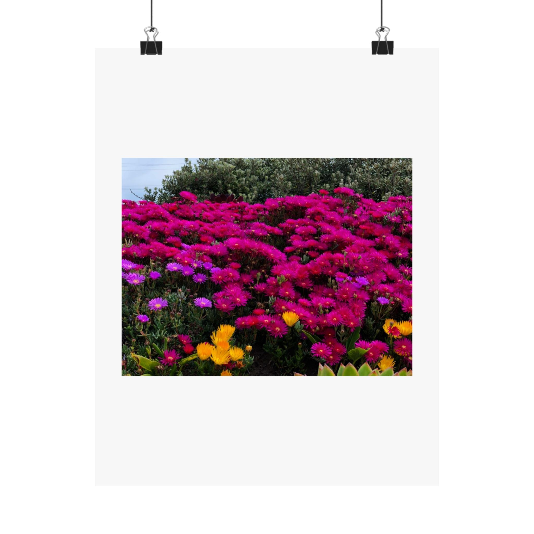 Matte Vertical Posters