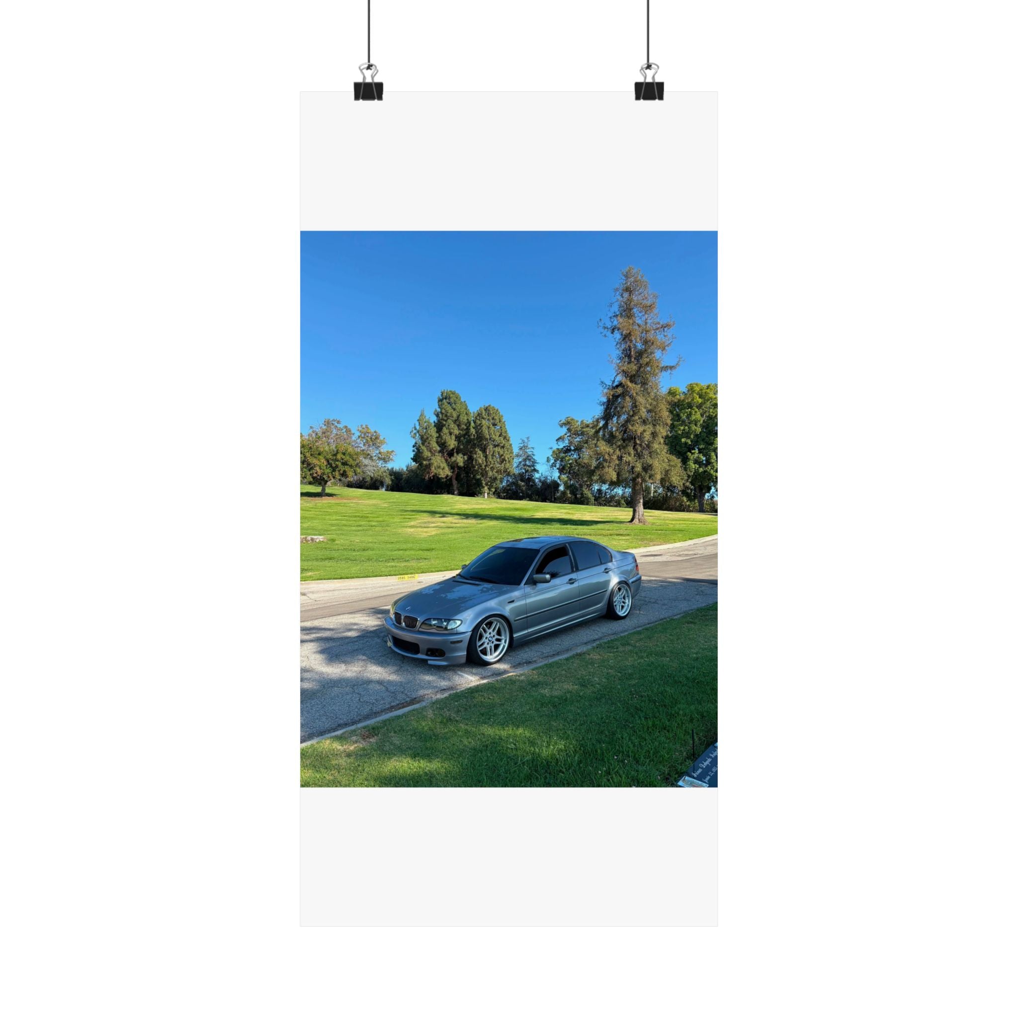 Matte Vertical Posters