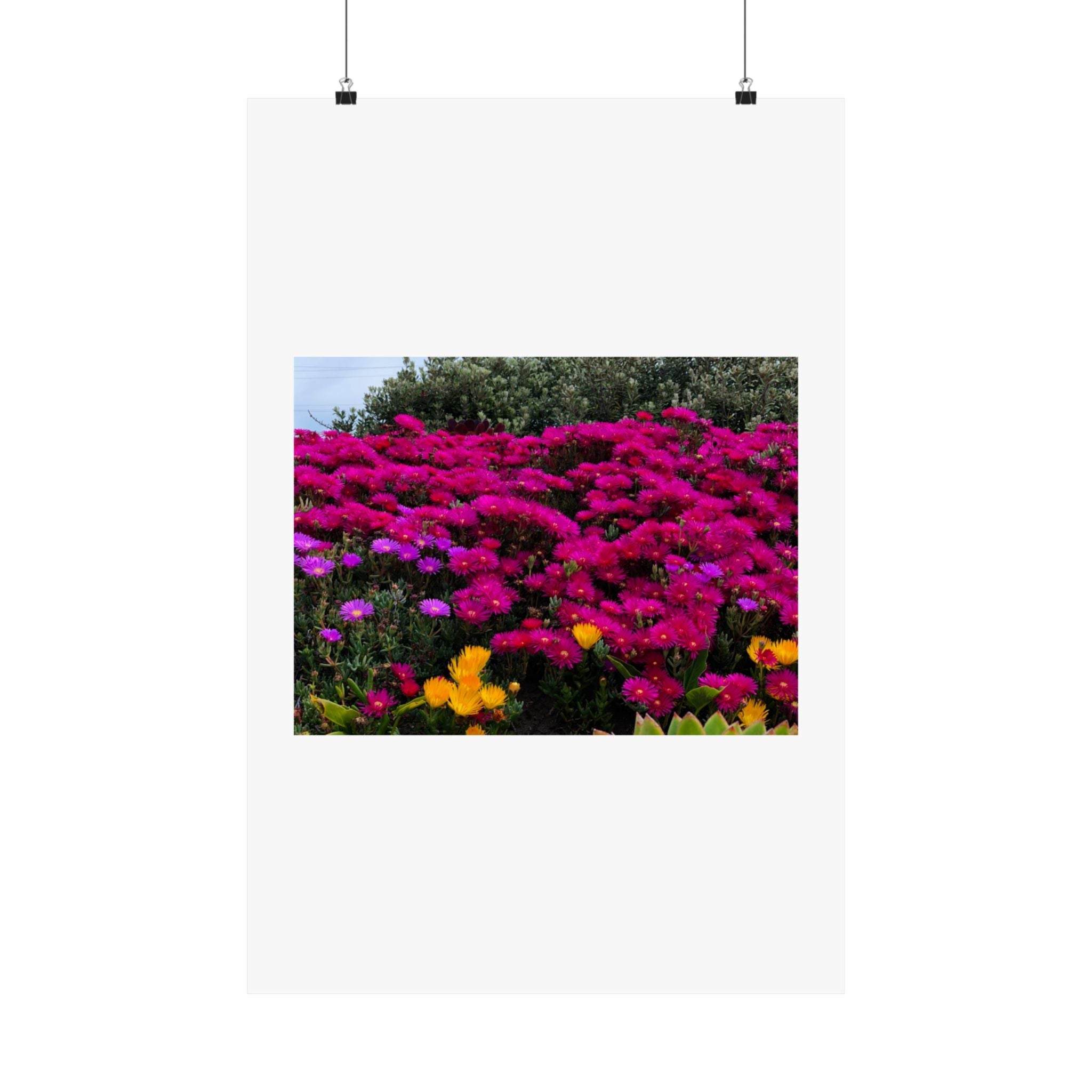 Matte Vertical Posters