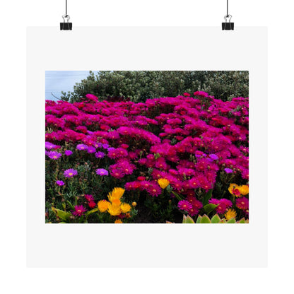 Matte Vertical Posters