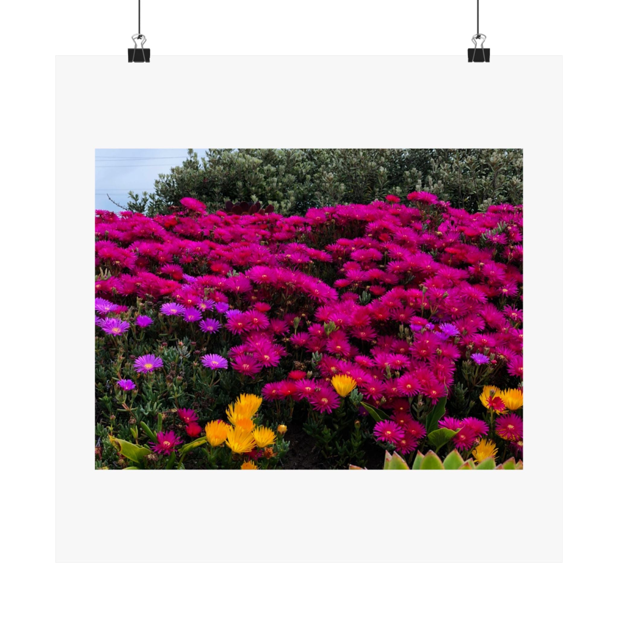 Matte Vertical Posters