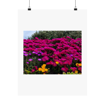 Matte Vertical Posters