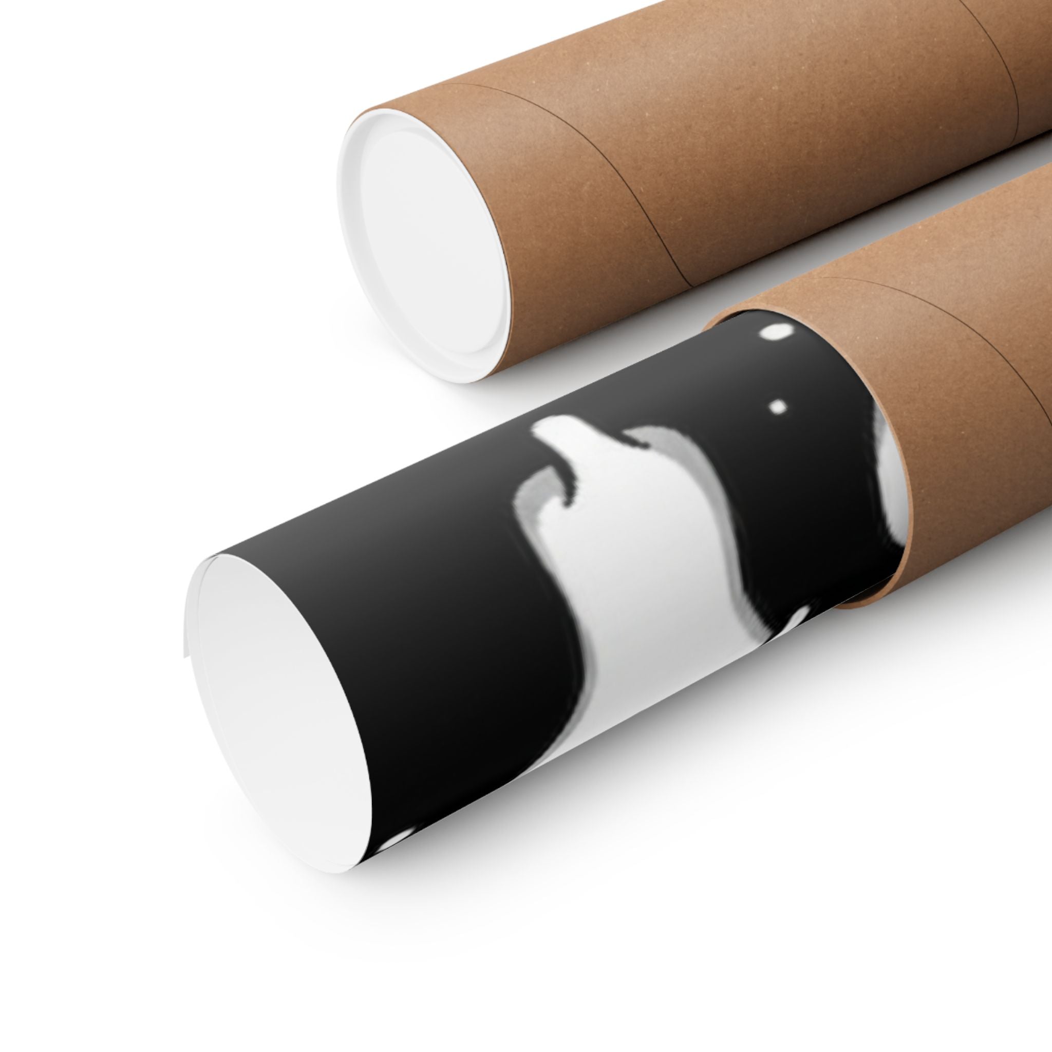 Matte Vertical Posters