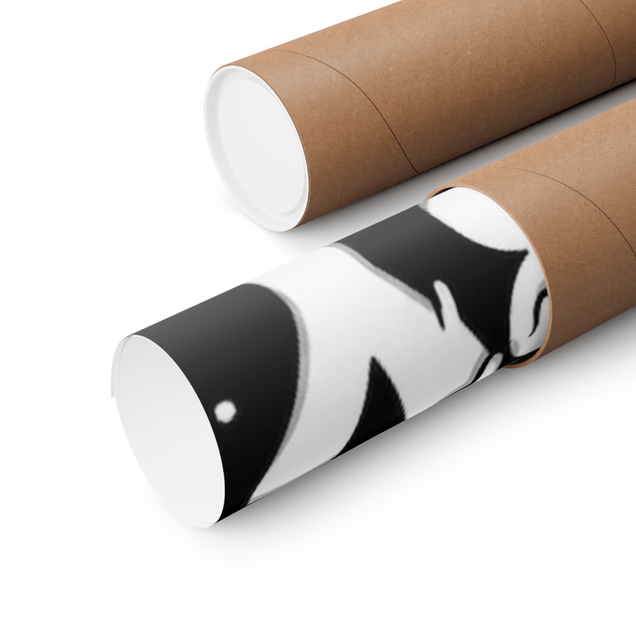 Matte Vertical Posters