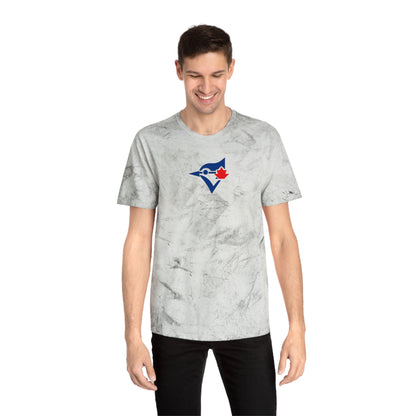 Toronto Baseball Tie-Dye Tee — Smoke, Navy & Red