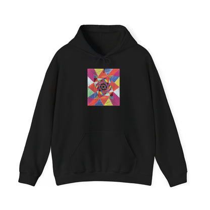 plate 163 hoodie - Black
