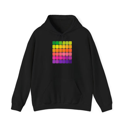 plate 145 hoodie - Black