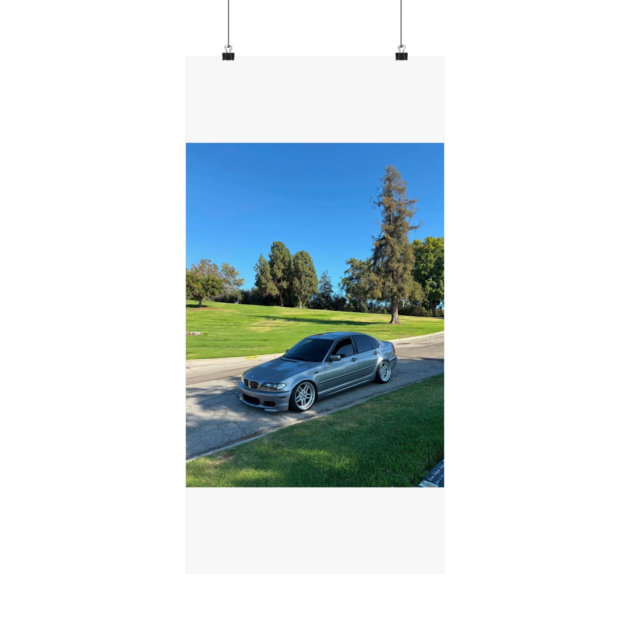 Matte Vertical Posters