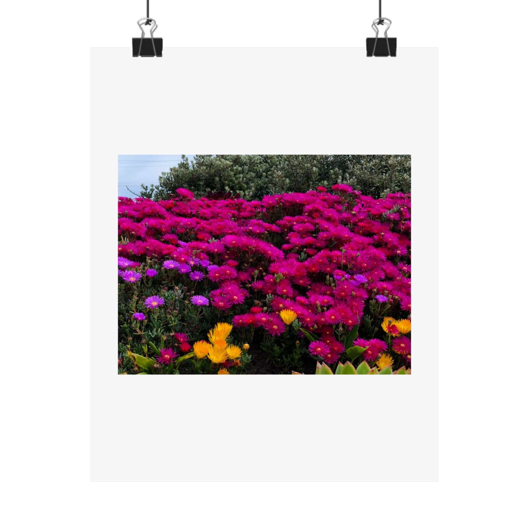 Matte Vertical Posters