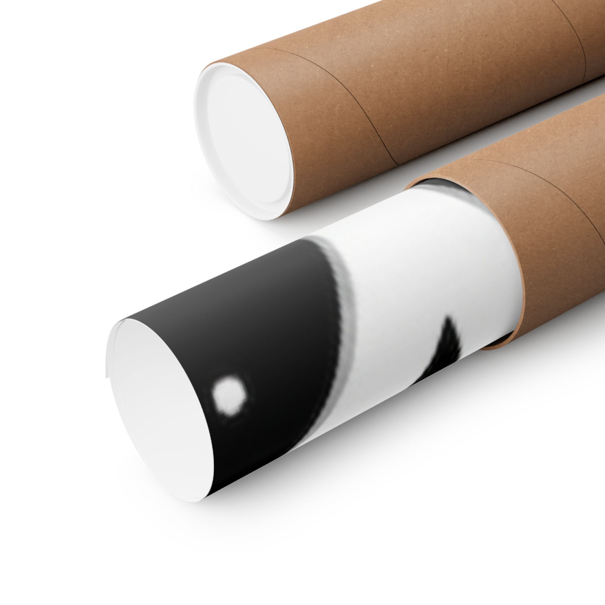 Matte Vertical Posters
