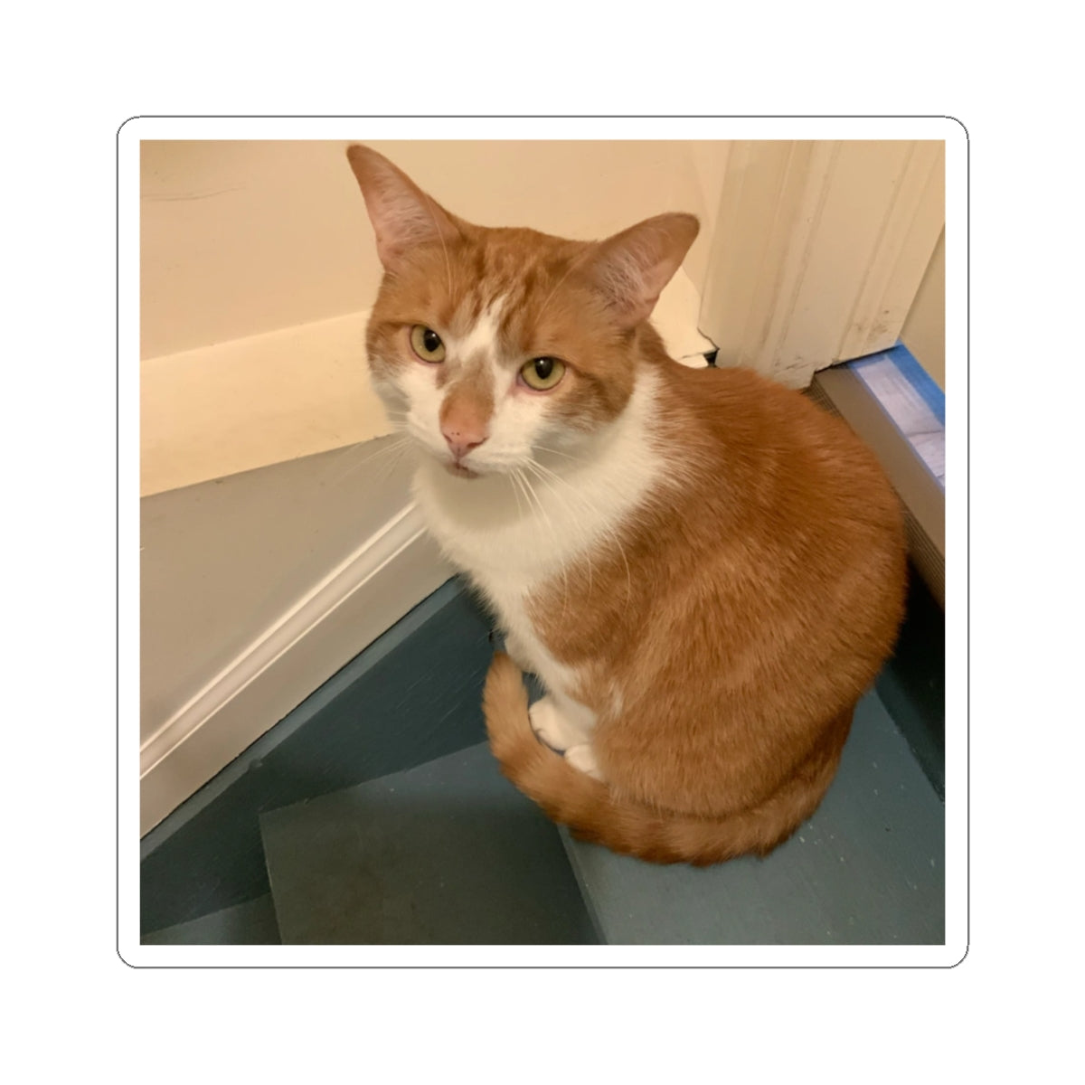 Kiss-Cut Stickers