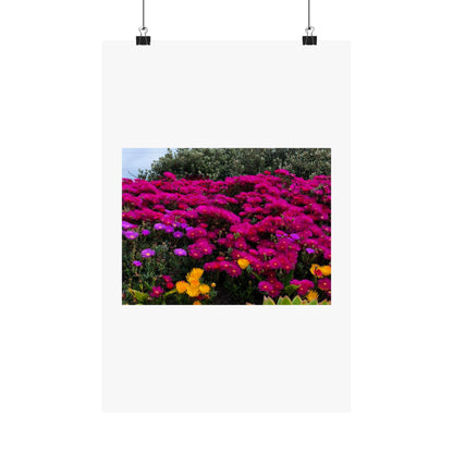 Matte Vertical Posters