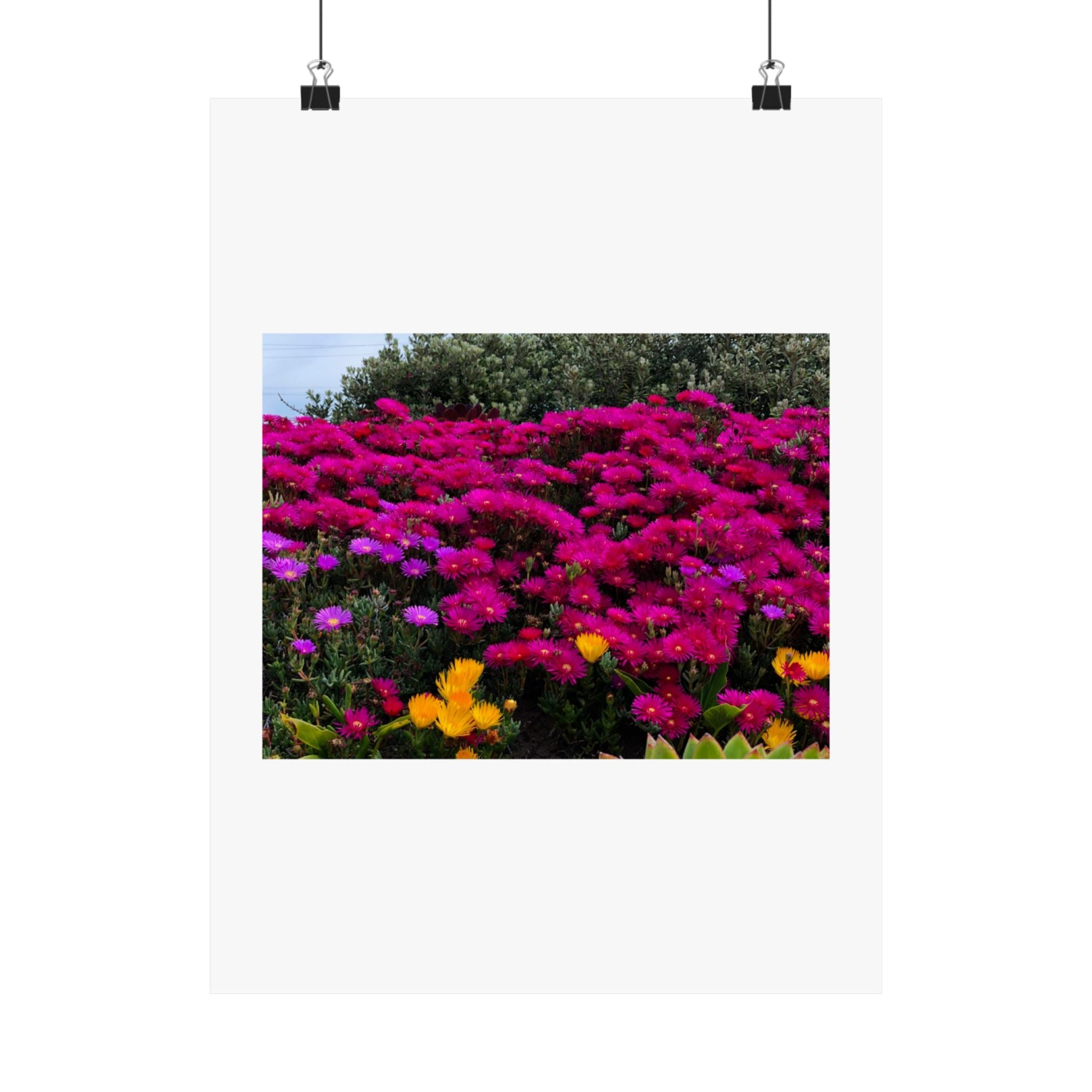 Matte Vertical Posters