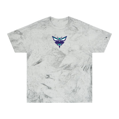 Charlotte Basketball Tie-Dye Tee — Smoke, Navy, Kelly Green & White