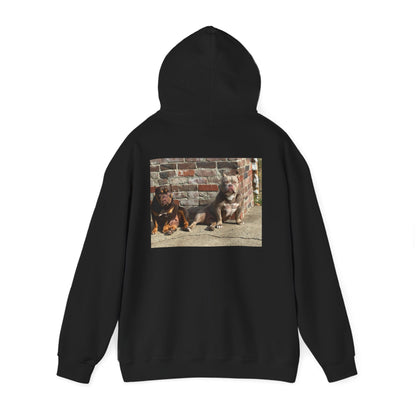 Unisex Heavy Blend™ Hooded Sweatshirt