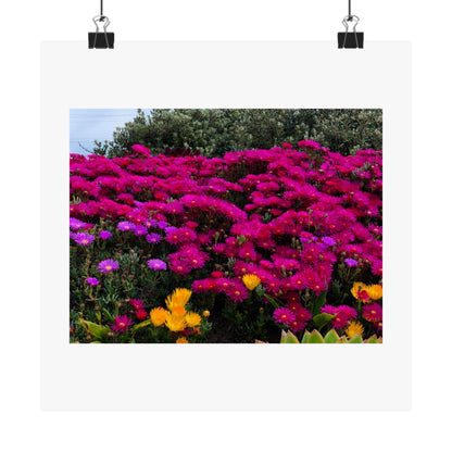 Matte Vertical Posters