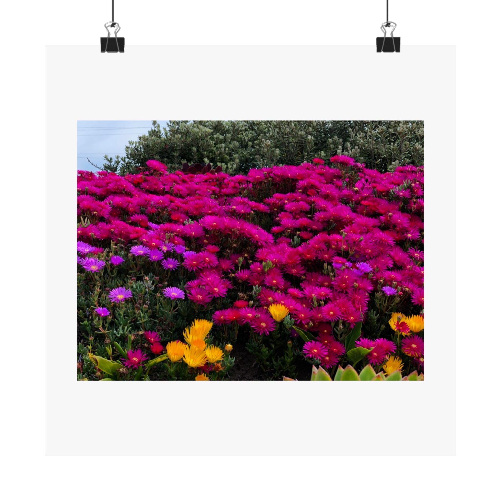 Matte Vertical Posters