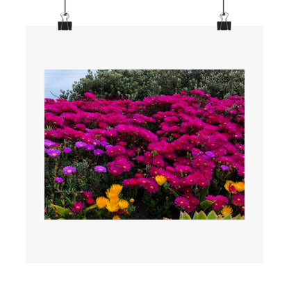 Matte Vertical Posters