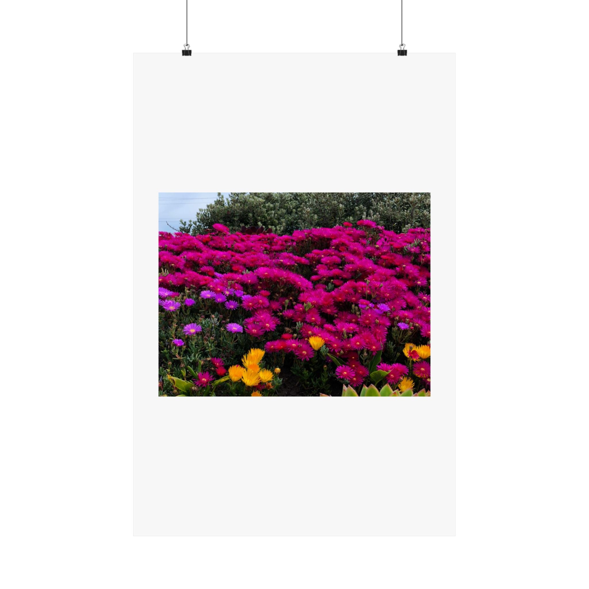 Matte Vertical Posters