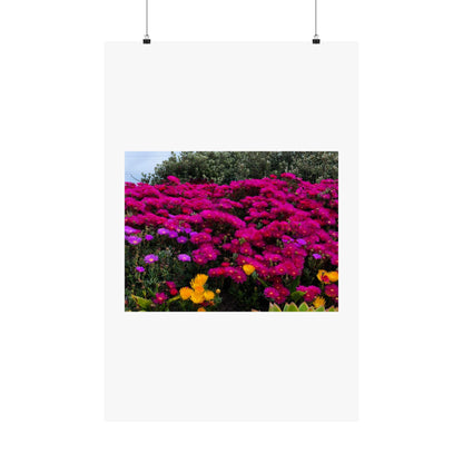 Matte Vertical Posters